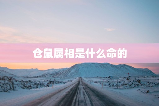 仓鼠属相是什么命的