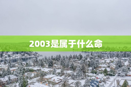 2003是属于什么命