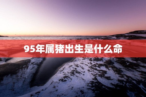 95年属猪出生是什么命