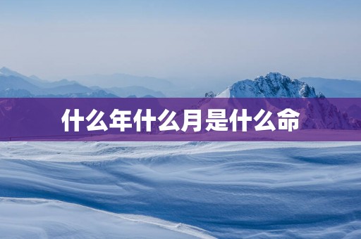 什么年什么月是什么命