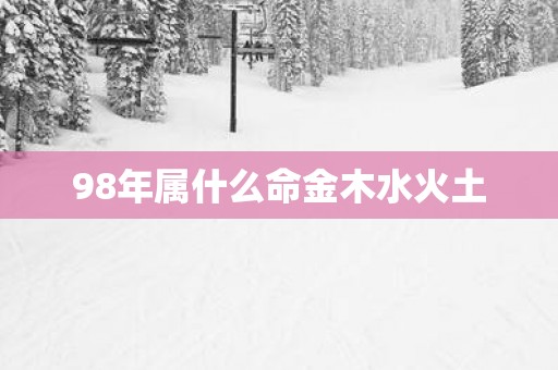 98年属什么命金木水火土
