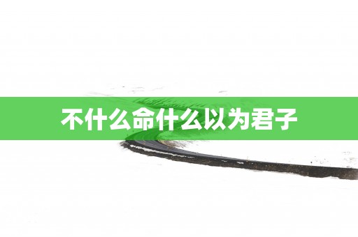 不什么命什么以为君子