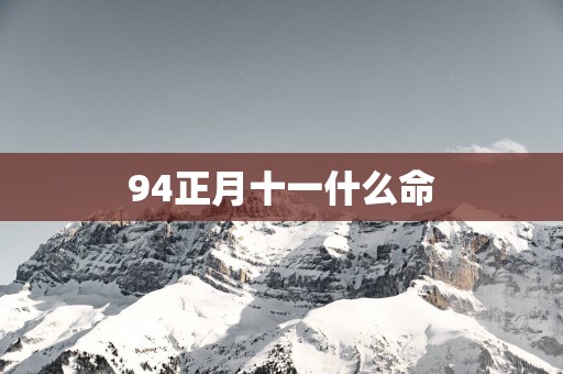 94正月十一什么命