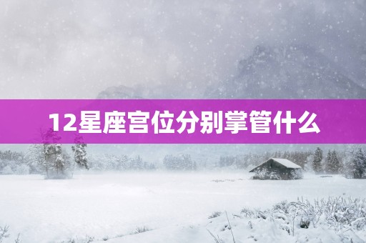 12星座宫位分别掌管什么