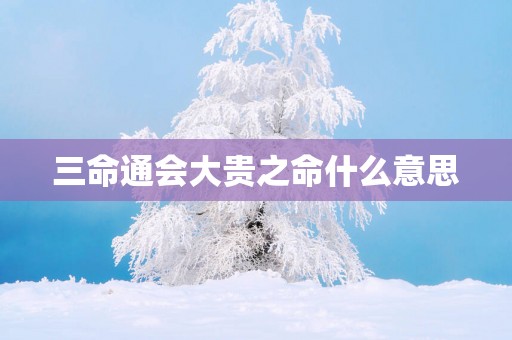 三命通会大贵之命什么意思