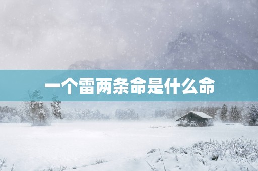 一个雷两条命是什么命