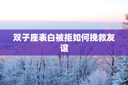 双子座表白被拒如何挽救友谊
