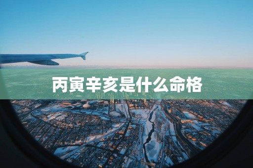 丙寅辛亥是什么命格