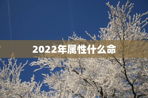 2025年属性什么命