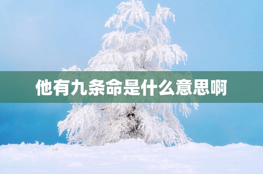 他有九条命是什么意思啊
