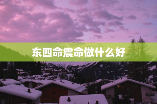 东四命震命做什么好
