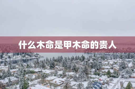 什么木命是甲木命的贵人