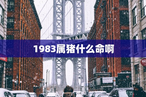 1983属猪什么命啊