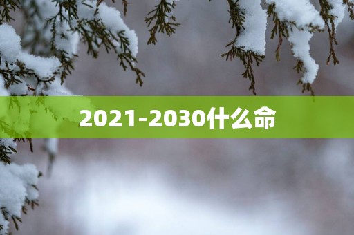 2021-2030什么命