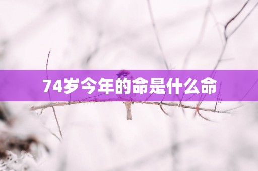 74岁今年的命是什么命