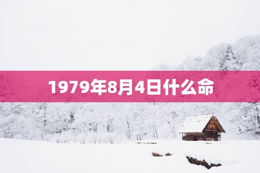 1979年8月4日什么命