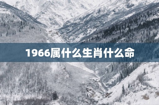 1966属什么生肖什么命