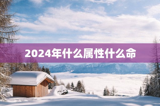 2025年什么属性什么命