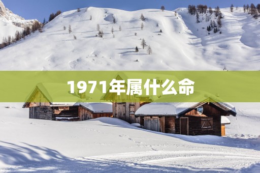1971年属什么命