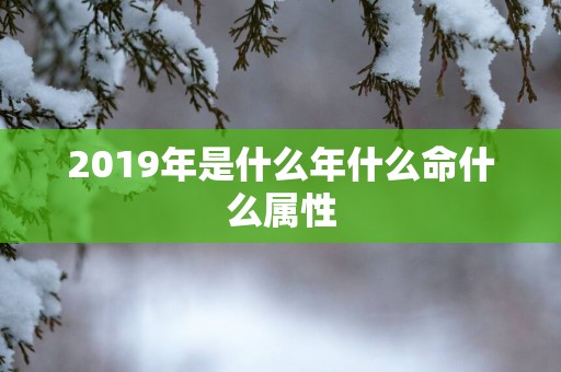 2019年是什么年什么命什么属性