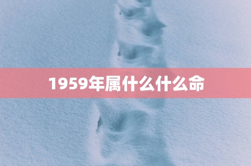 1959年属什么什么命