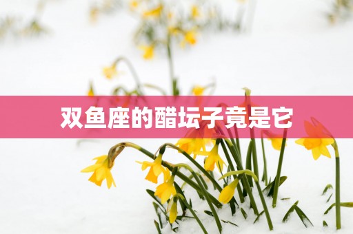 双鱼座的醋坛子竟是它