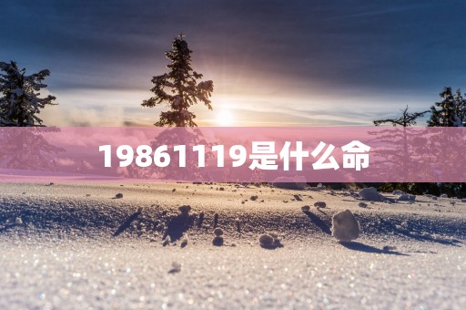 19861119是什么命