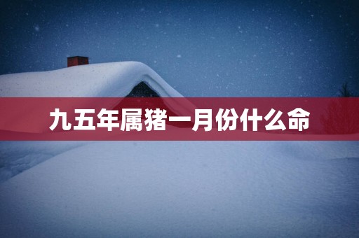 九五年属猪一月份什么命
