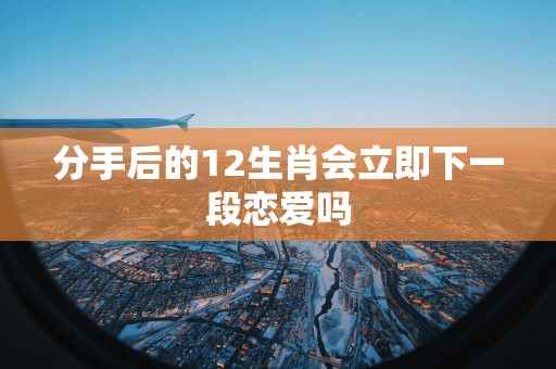分手后的12生肖会立即下一段恋爱吗