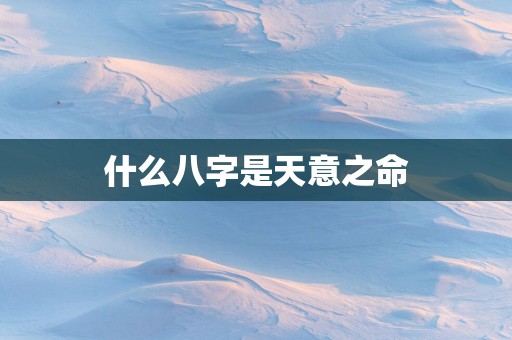 什么八字是天意之命
