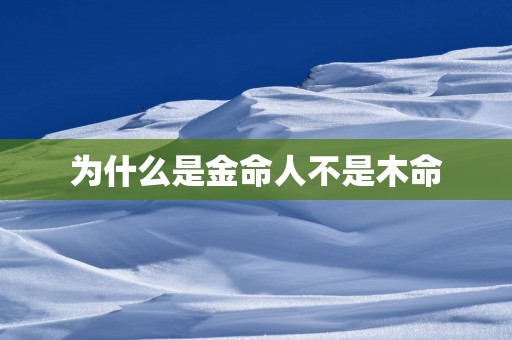 为什么是金命人不是木命