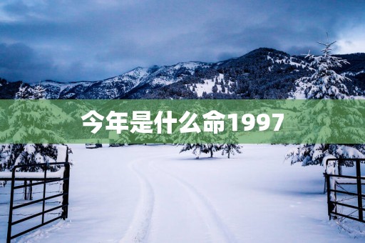 今年是什么命1997
