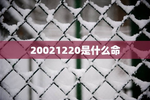 20021220是什么命