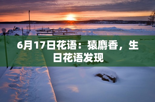 6月17日花语：猿麝香，生日花语发现