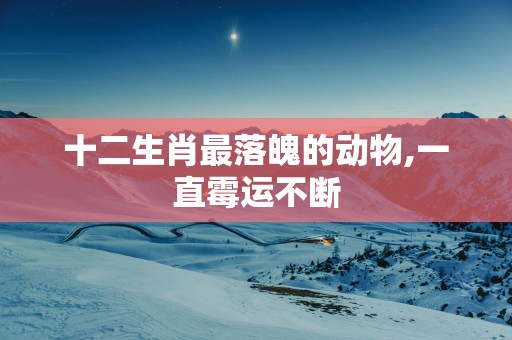 十二生肖最落魄的动物,一直霉运不断