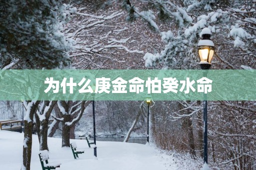 为什么庚金命怕癸水命