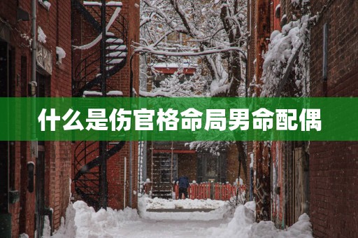 什么是伤官格命局男命配偶