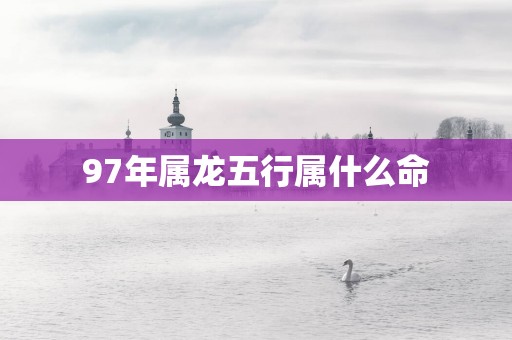 97年属龙五行属什么命