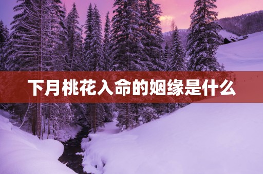 下月桃花入命的姻缘是什么