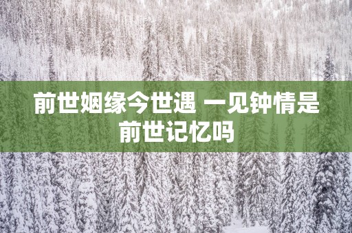 前世姻缘今世遇 一见钟情是前世记忆吗