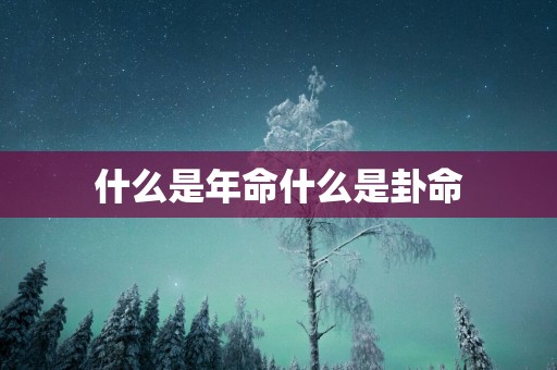 什么是年命什么是卦命