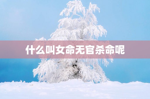 什么叫女命无官杀命呢