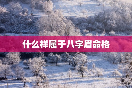什么样属于八字眉命格