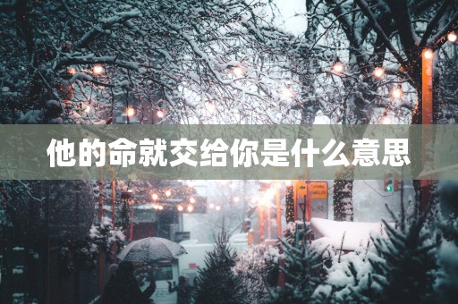 他的命就交给你是什么意思