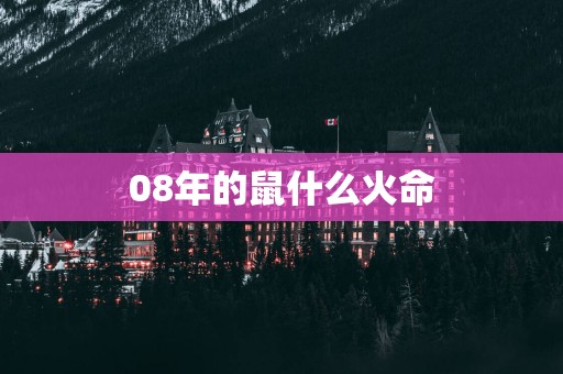 08年的鼠什么火命