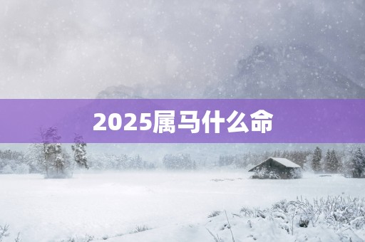 2025属马什么命