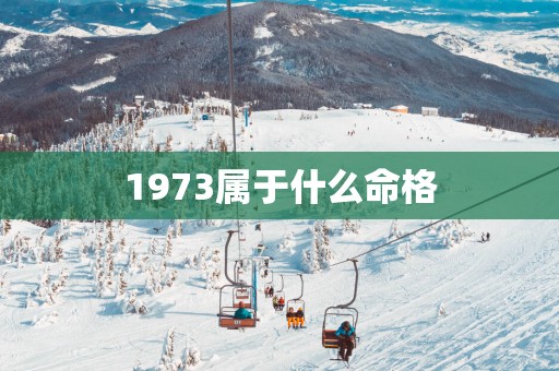 1973属于什么命格