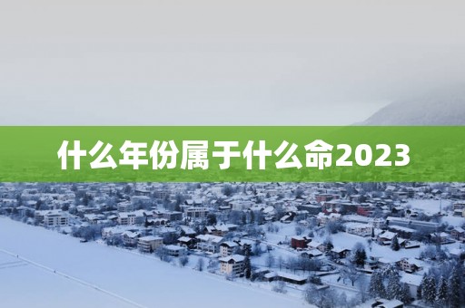 什么年份属于什么命2025