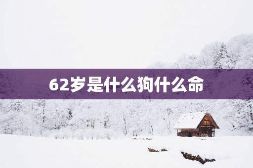 62岁是什么狗什么命