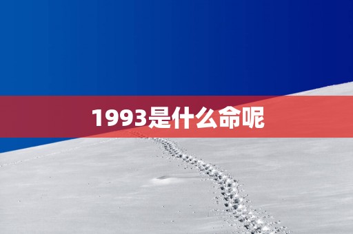 1993是什么命呢